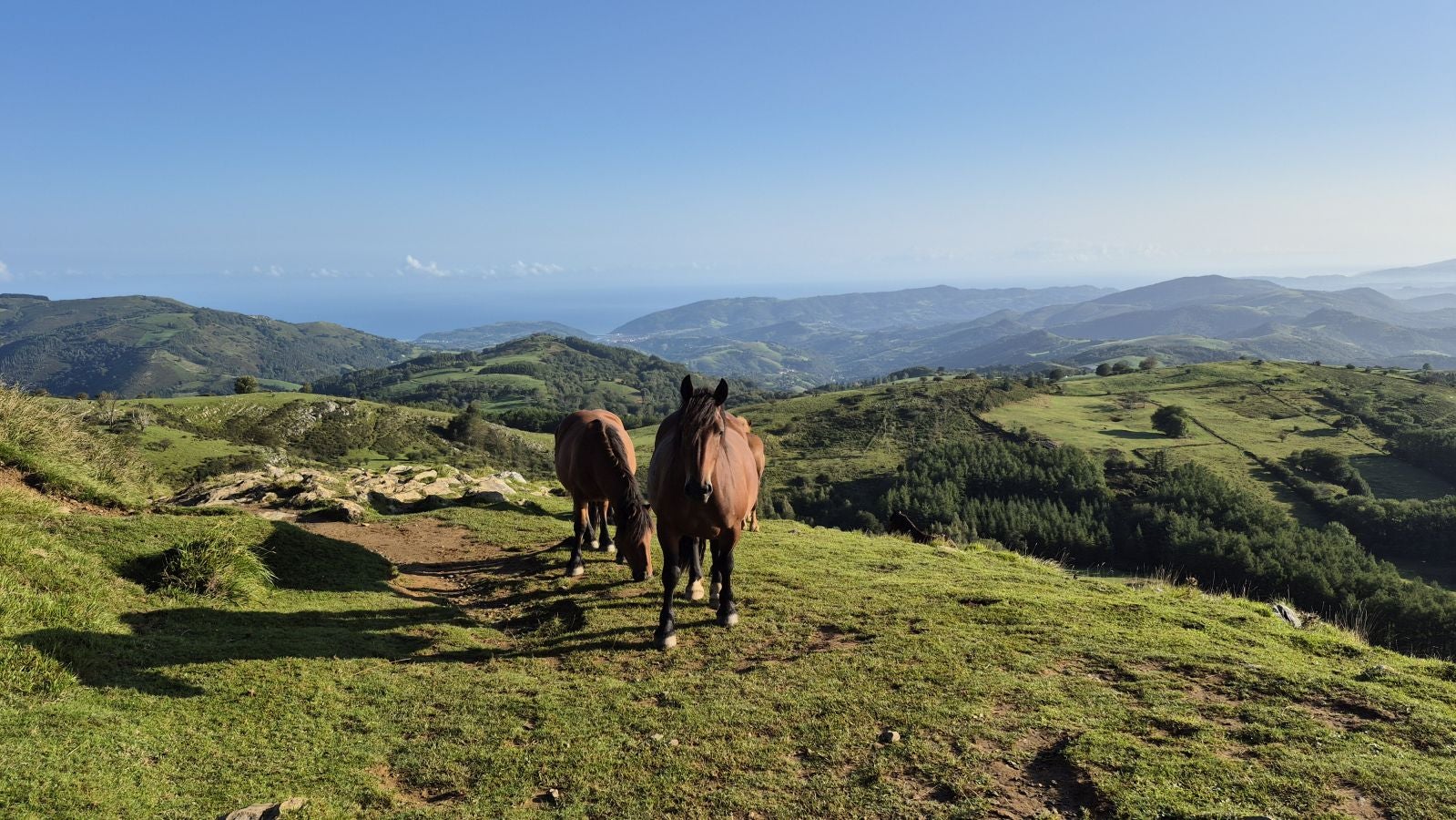 Hernio, panorámica perfecta de los montes de Gipuzkoa