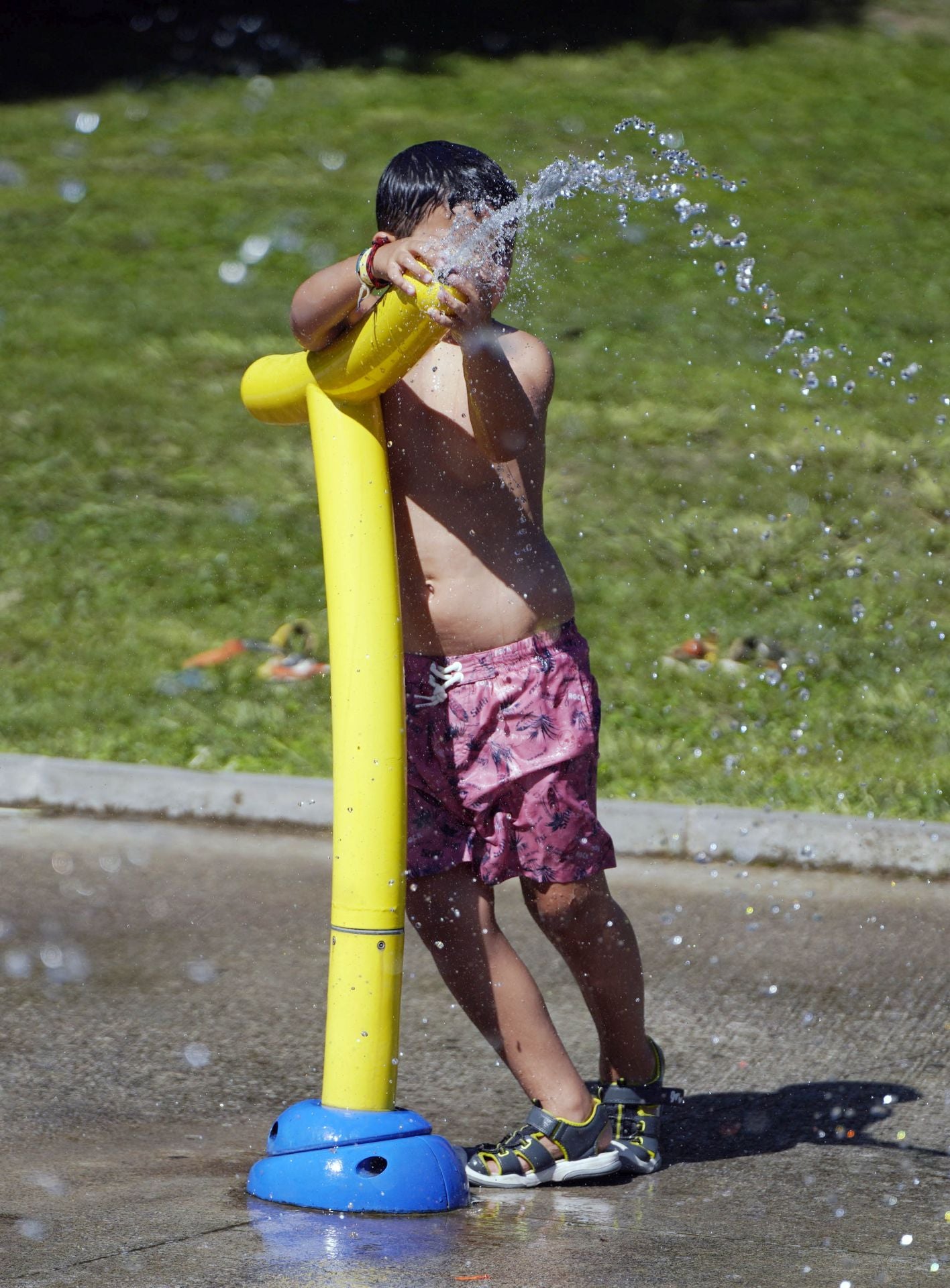 El agua, el gran aliado contra el calor