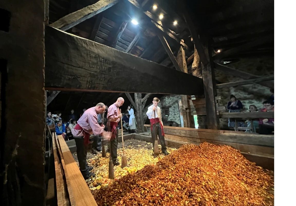 Dolarea martxan eta sagarraren prentsaketa zuzenean ikusi ahal izango da Igartubeitin.