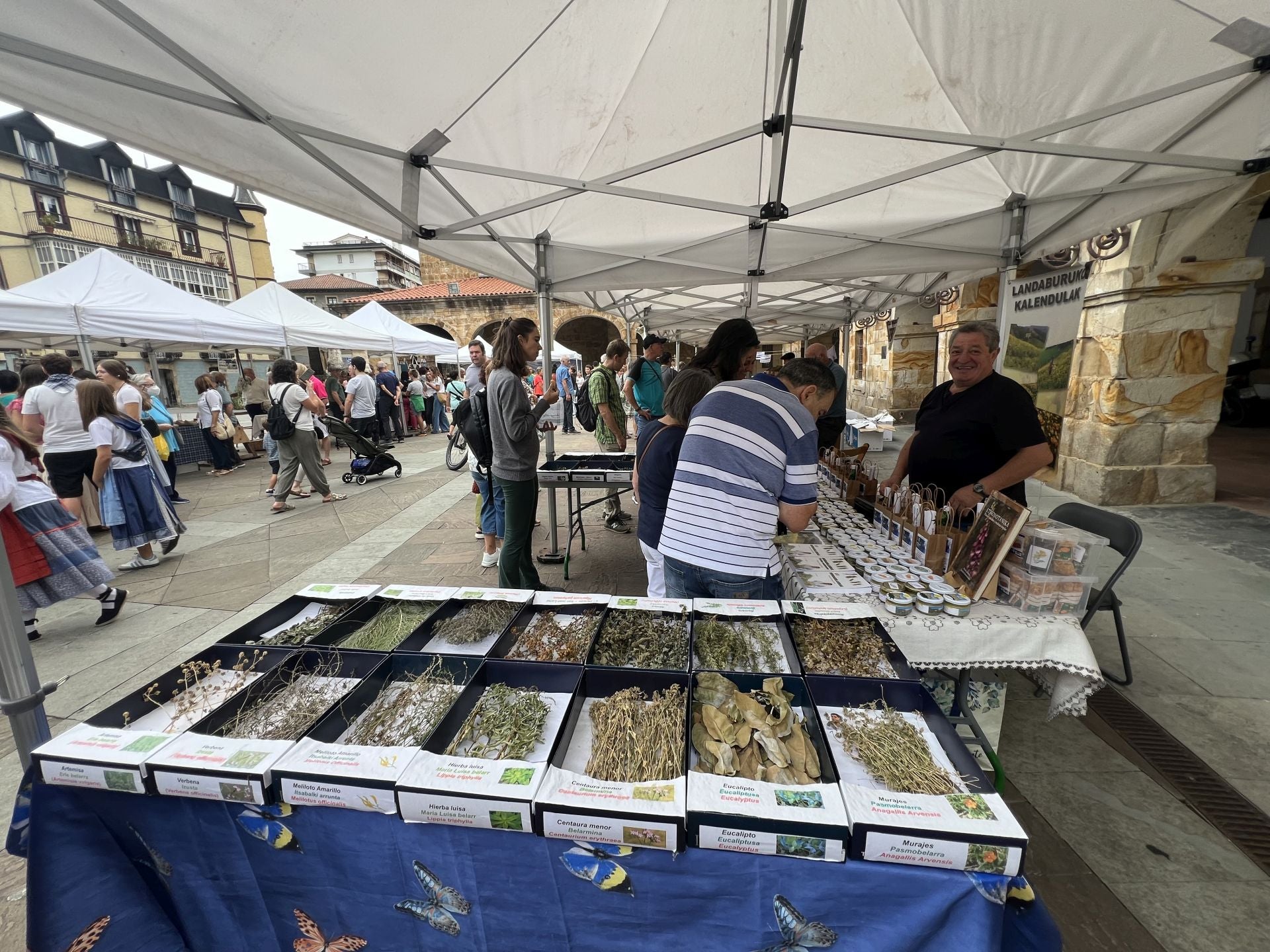 Artzain Eguna en Legazpi