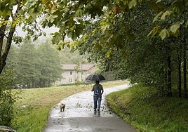 Un hombre pasea, ayer junto a su perro, por la zona de Aranerreka en el barrio usurbildarra de Kalezar, donde el sábado tuvo lugar el presunto robo e intento de homicidio.