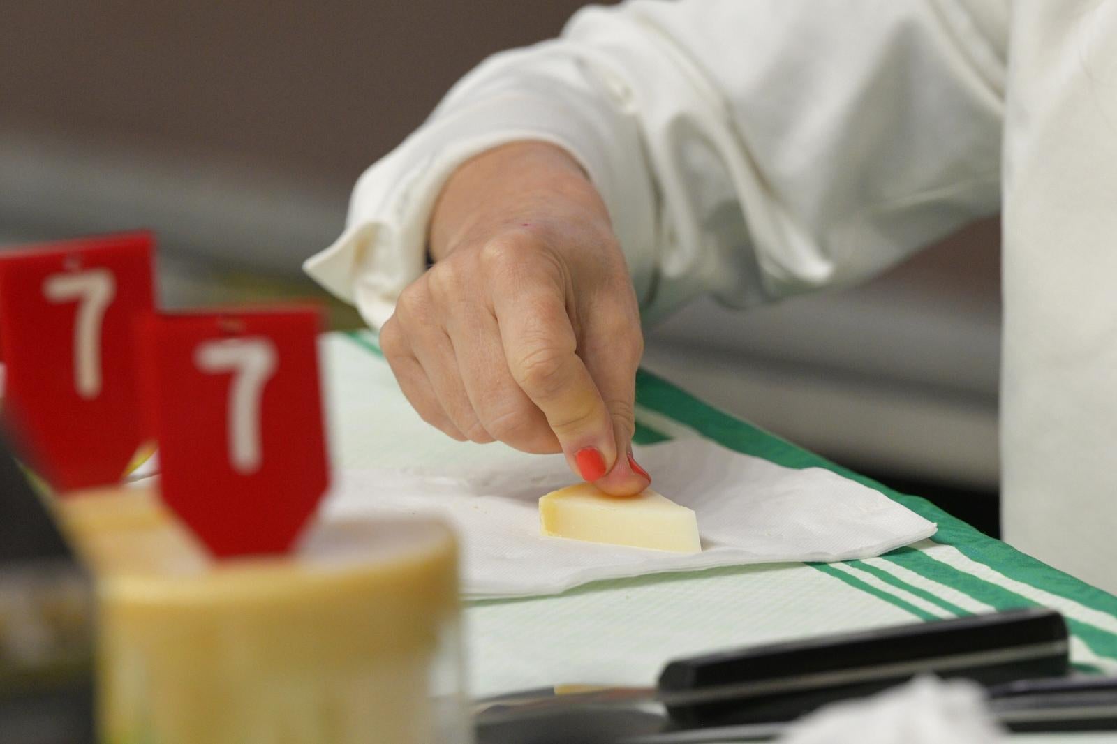 Ordizia, templo del queso