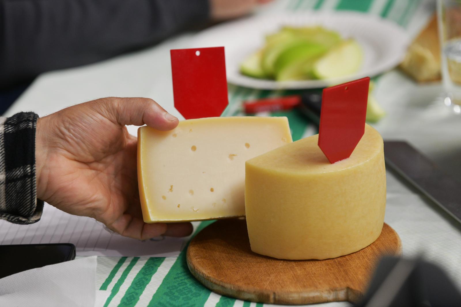 Ordizia, templo del queso