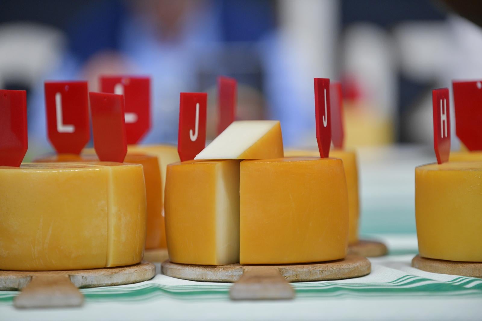 Ordizia, templo del queso