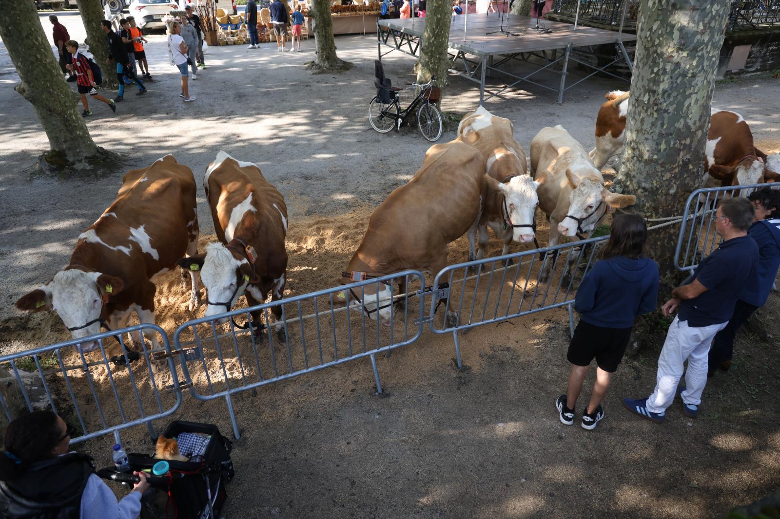 Gran ambiente en el Baserritar Eguna de Hondarribia