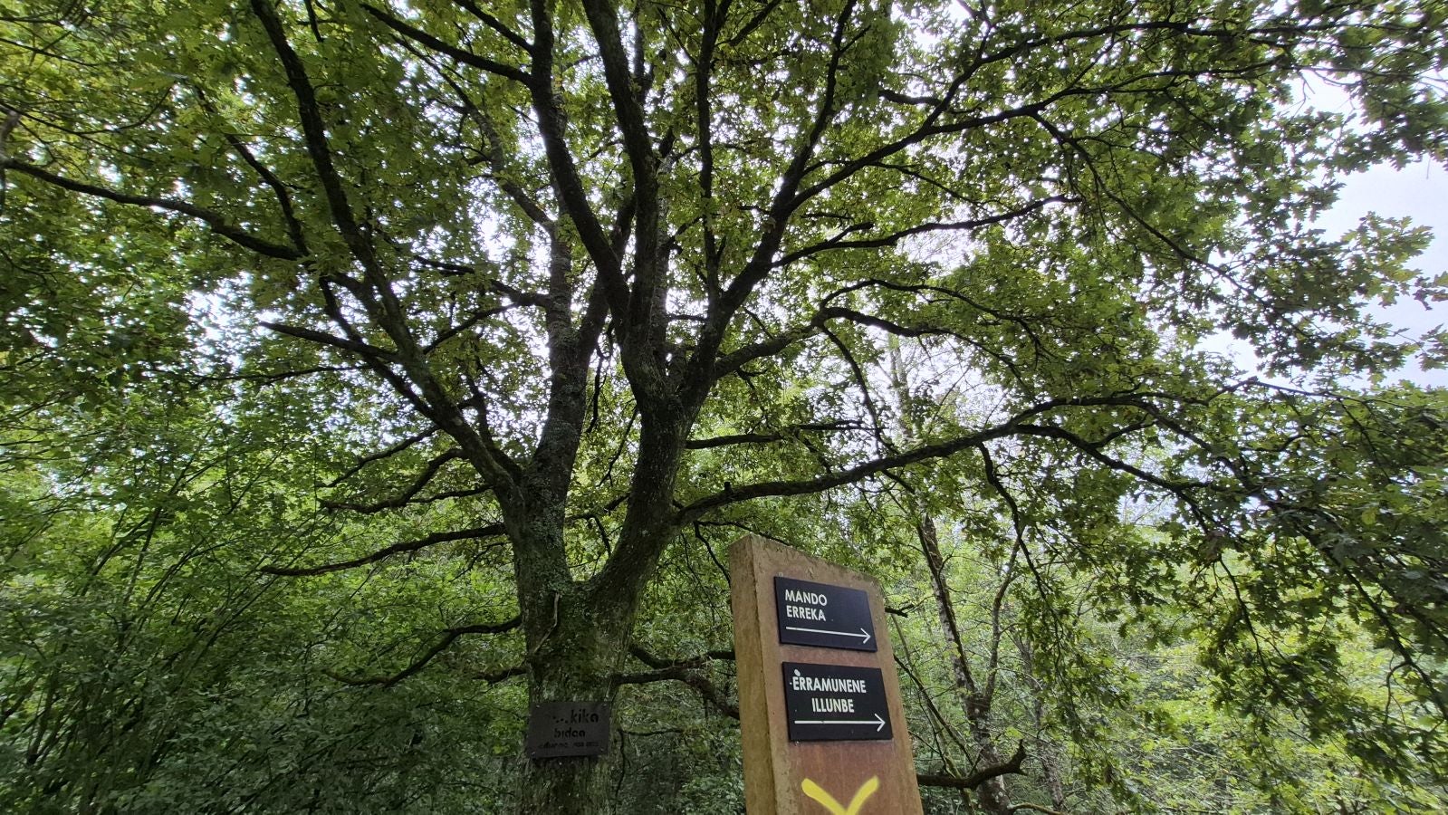 Un paseo de tres horas por Oriamendi