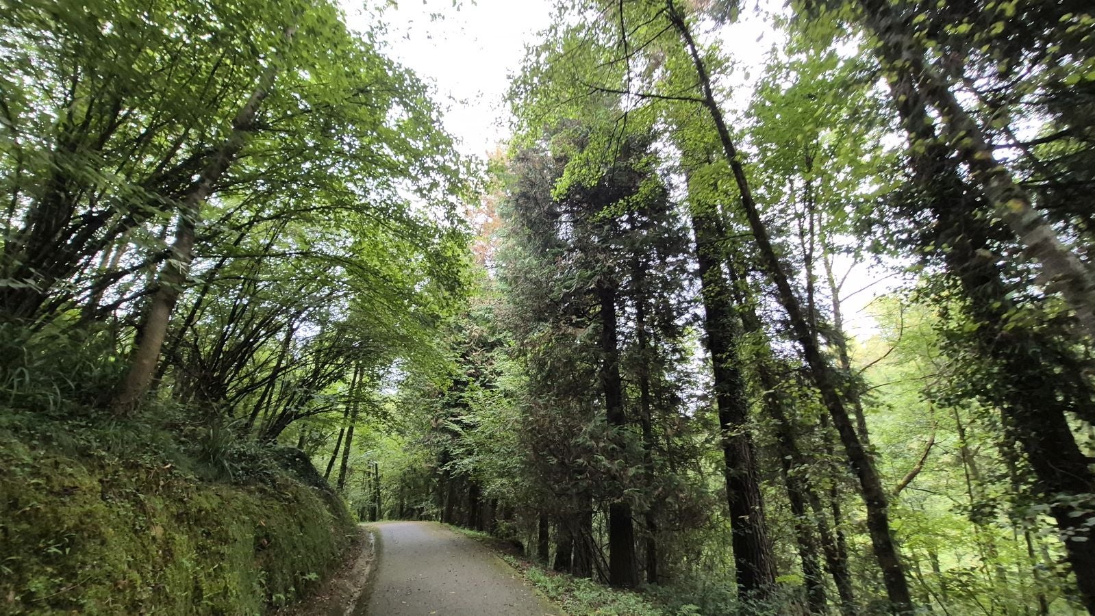 Un paseo de tres horas por Oriamendi