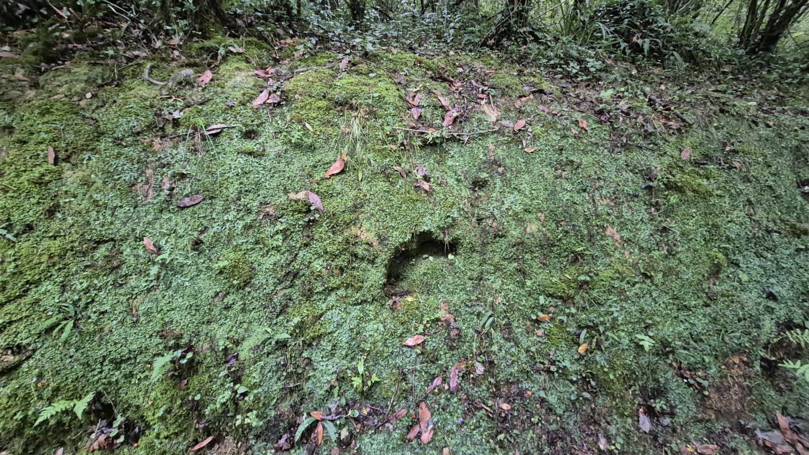 Un paseo de tres horas por Oriamendi