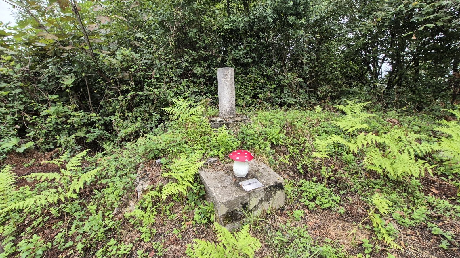 Un paseo de tres horas por Oriamendi