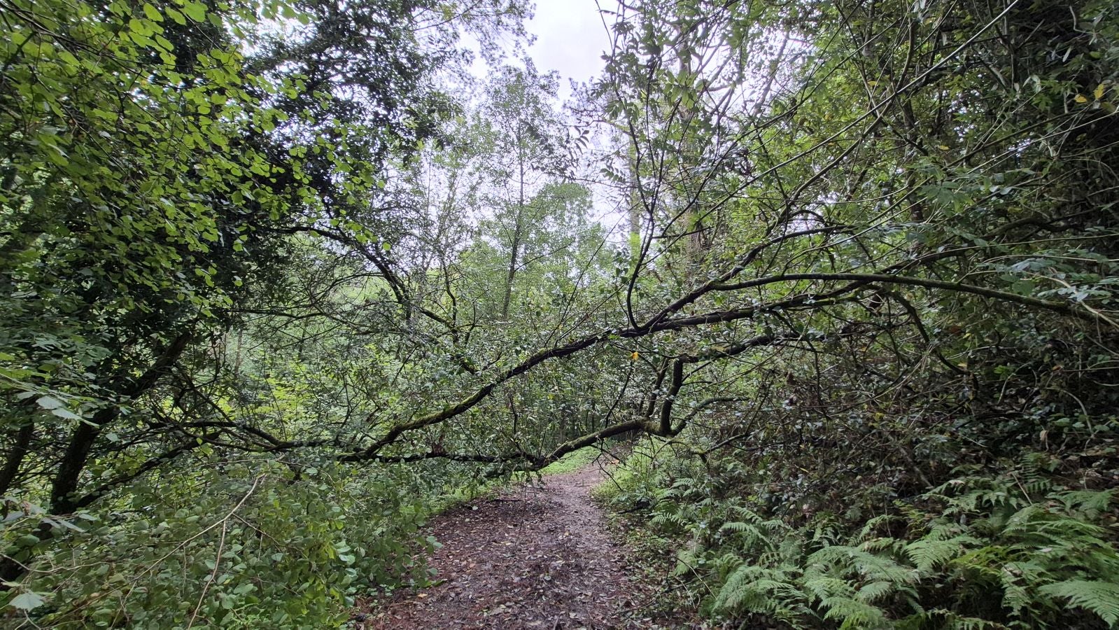 Un paseo de tres horas por Oriamendi