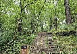 Un paseo de tres horas por Oriamendi