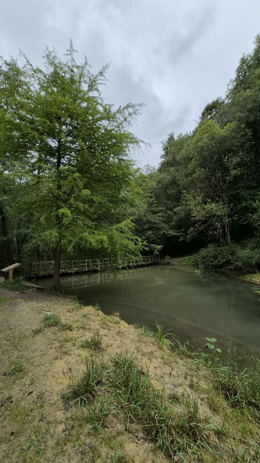 Un paseo de tres horas por Oriamendi