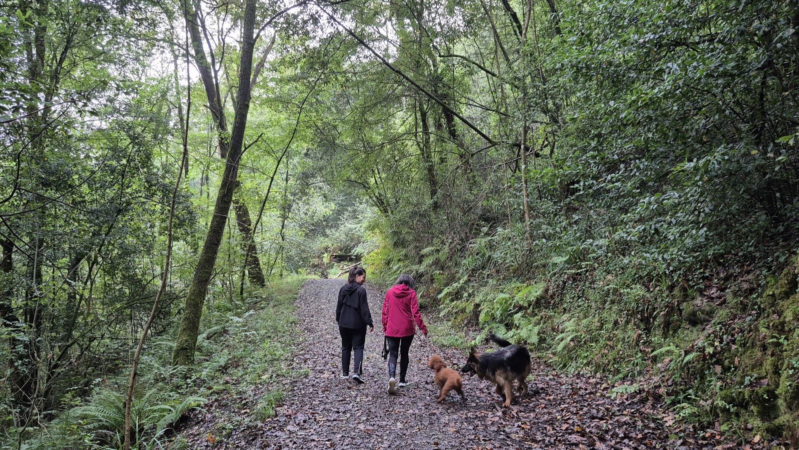 Un paseo de tres horas por Oriamendi