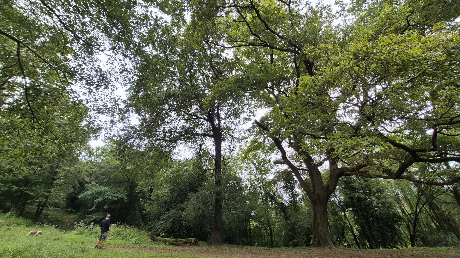 Un paseo de tres horas por Oriamendi