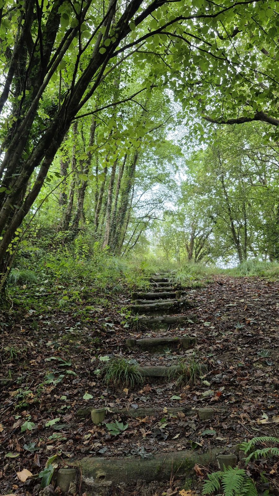 Un paseo de tres horas por Oriamendi