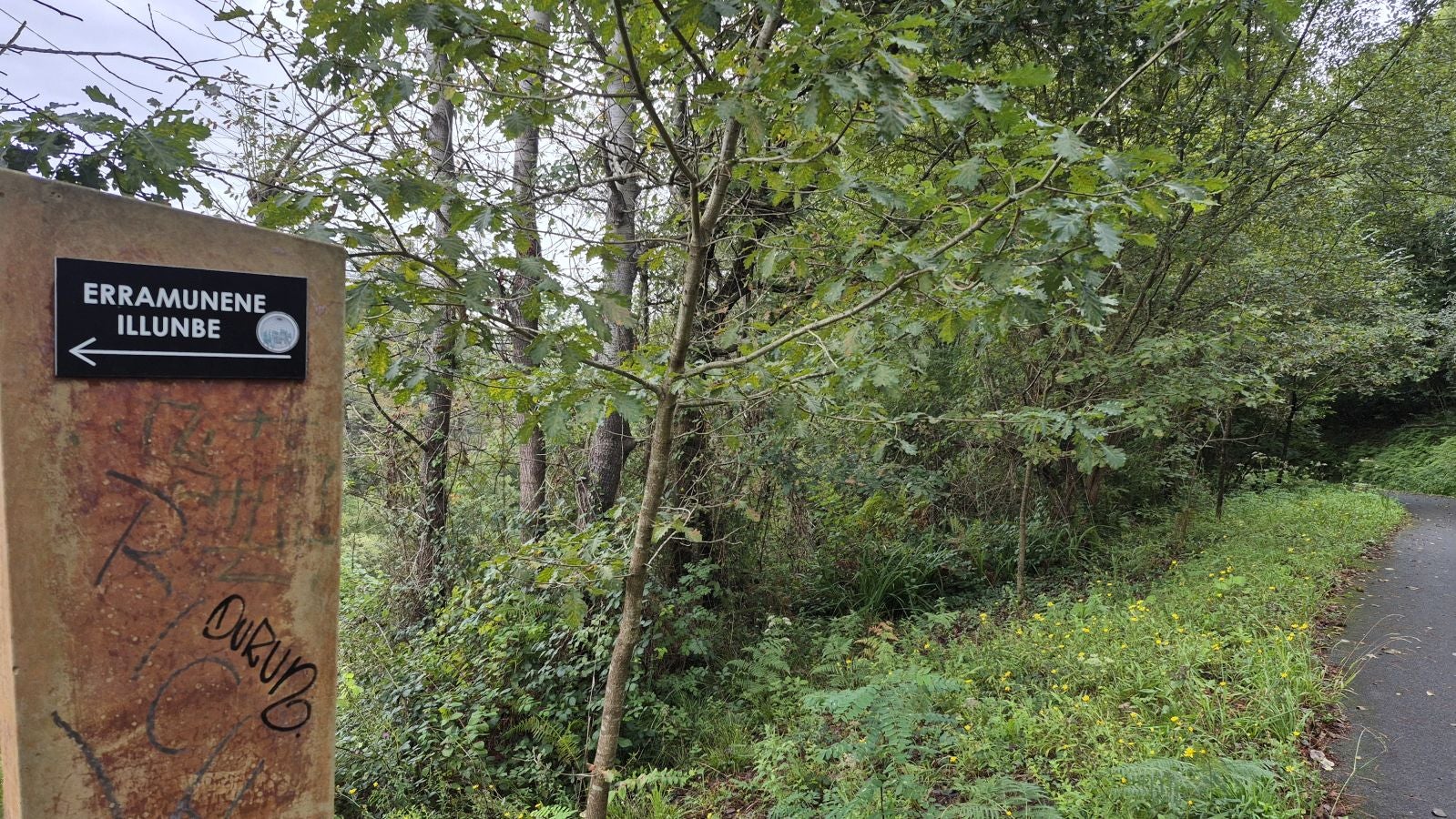 Un paseo de tres horas por Oriamendi
