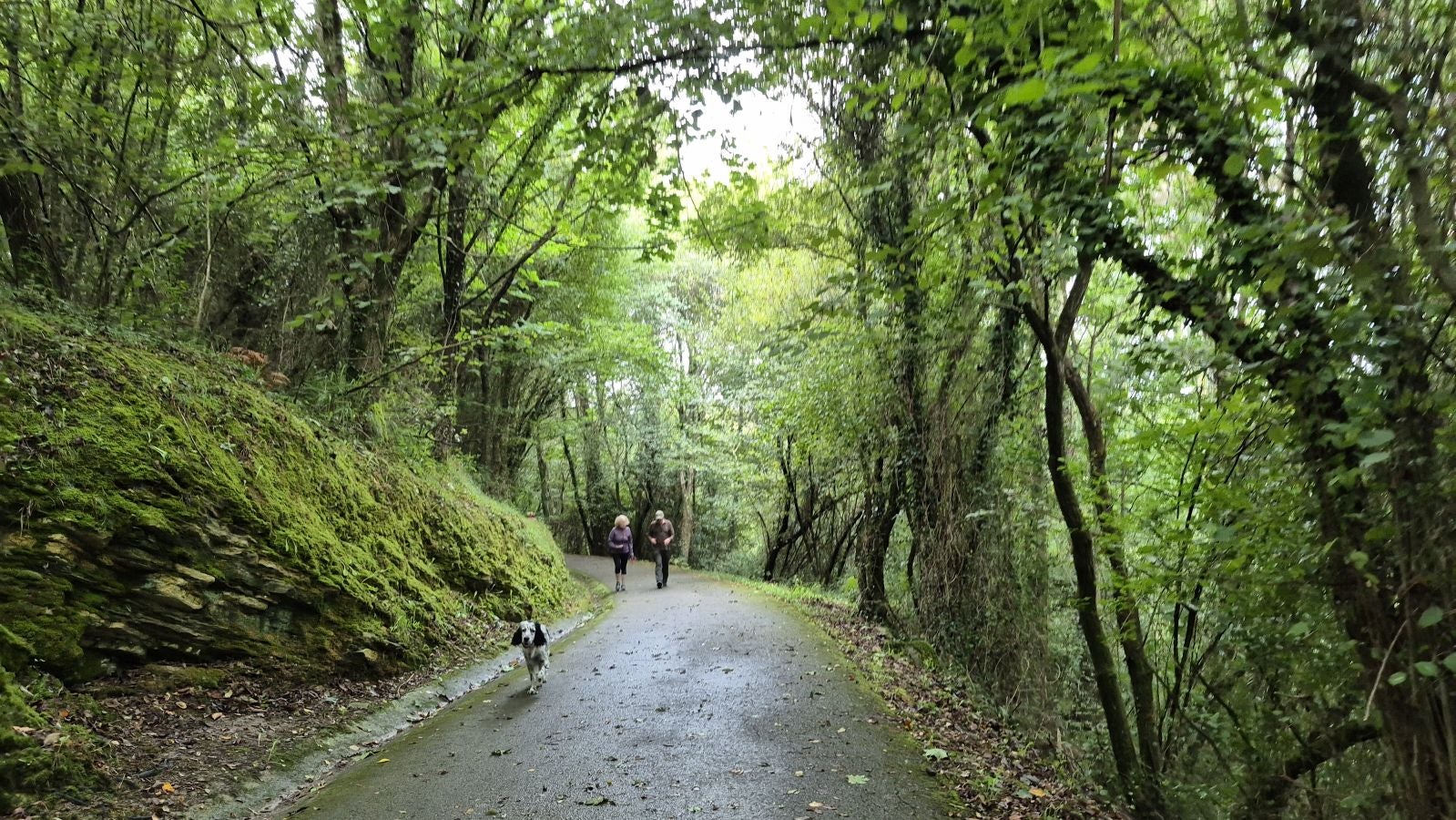Un paseo de tres horas por Oriamendi
