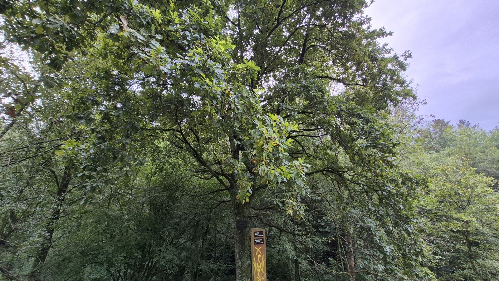 Un paseo de tres horas por Oriamendi