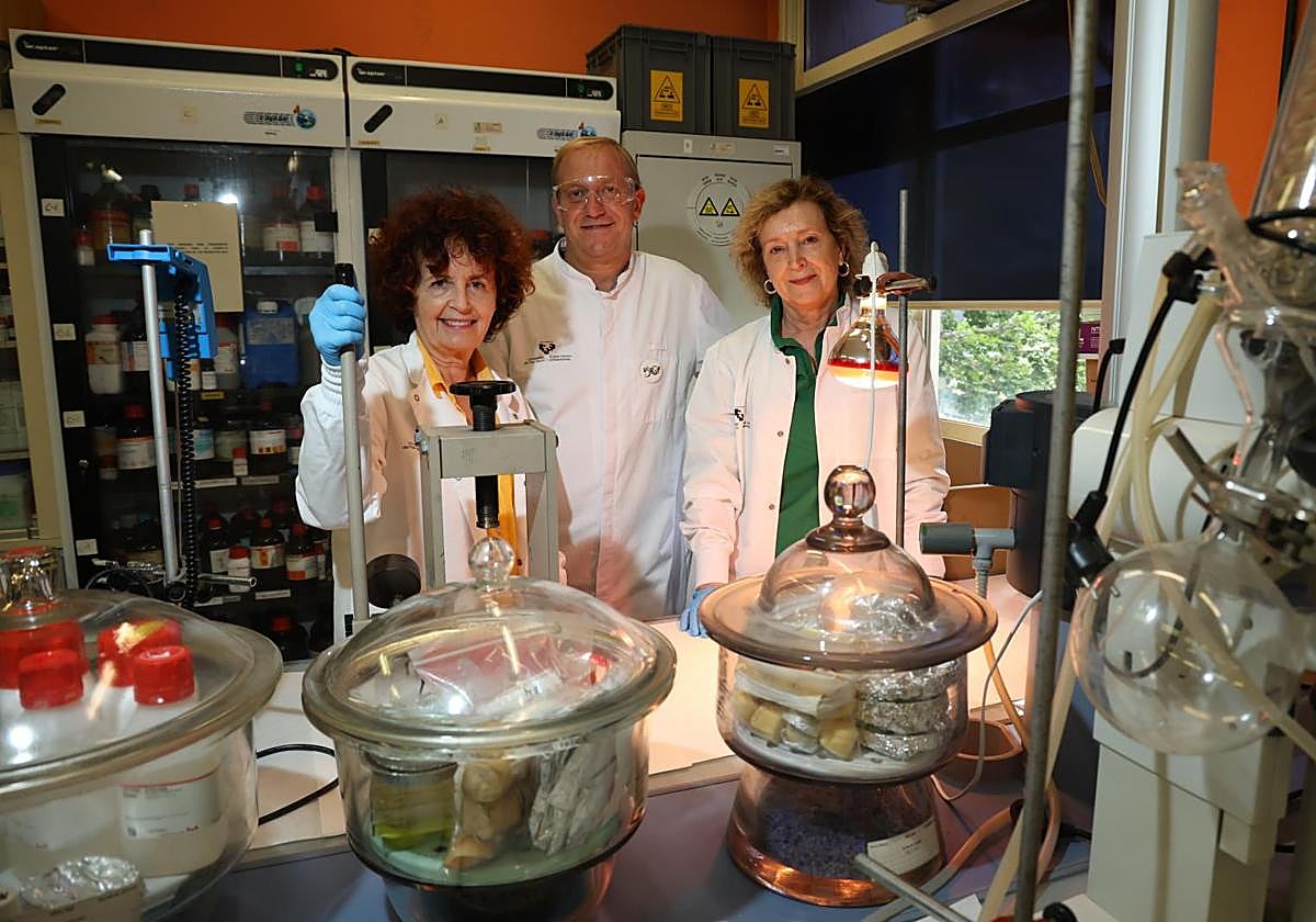 Isabel Goñi, Jon Mattin y Marilo Gurrutxaga, en uno de los laboratorios de la Facultad de Química de la EHU.