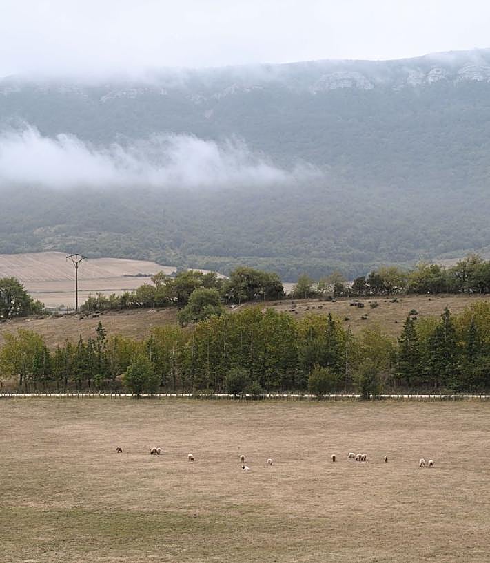 Imagen secundaria 2 - «Hay que abrir un debate sobre el queso ahumado»