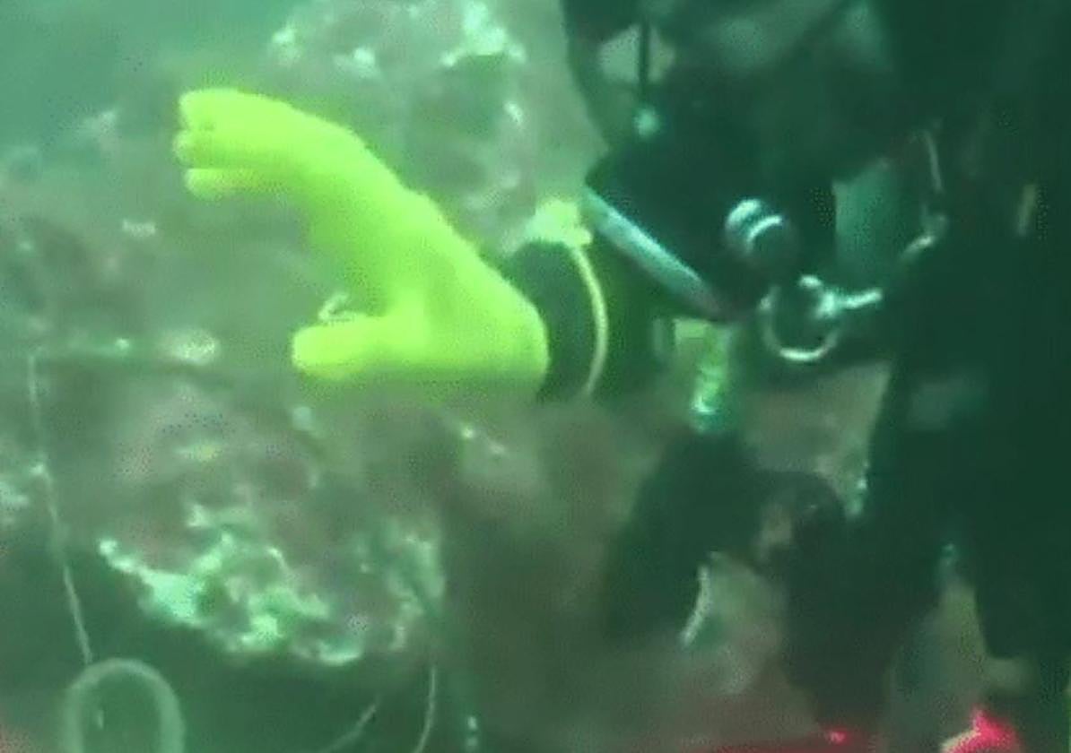 Retiran frente a Getaria una 'red fantasma', trampa mortal para peces y crustáceos