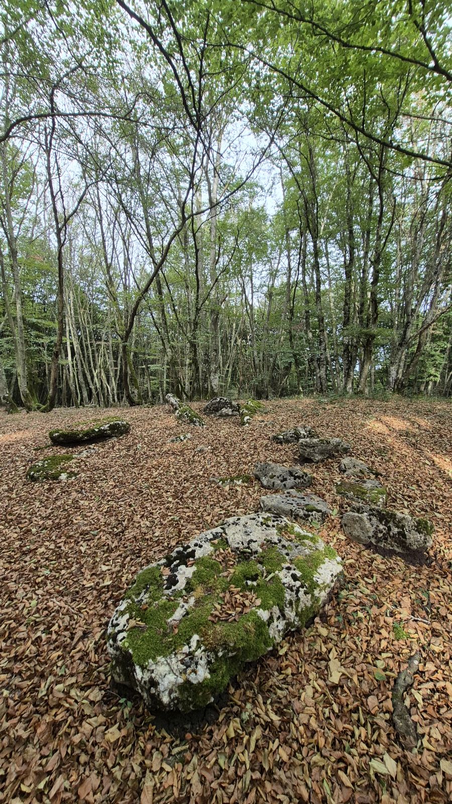 Una atalaya de casi 1.000 metros