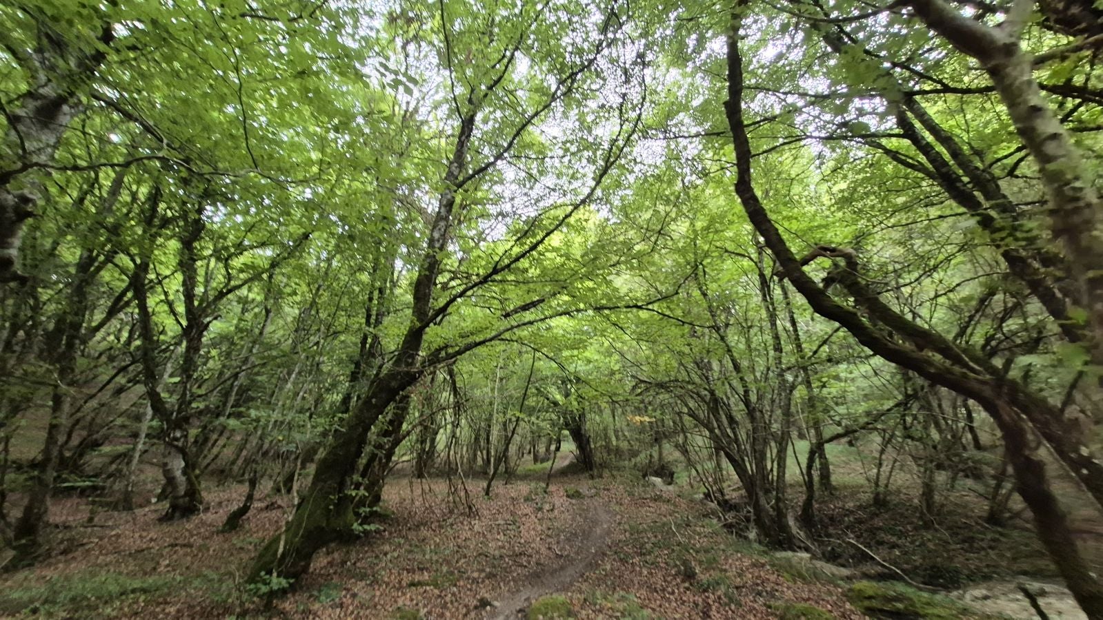 Una atalaya de casi 1.000 metros