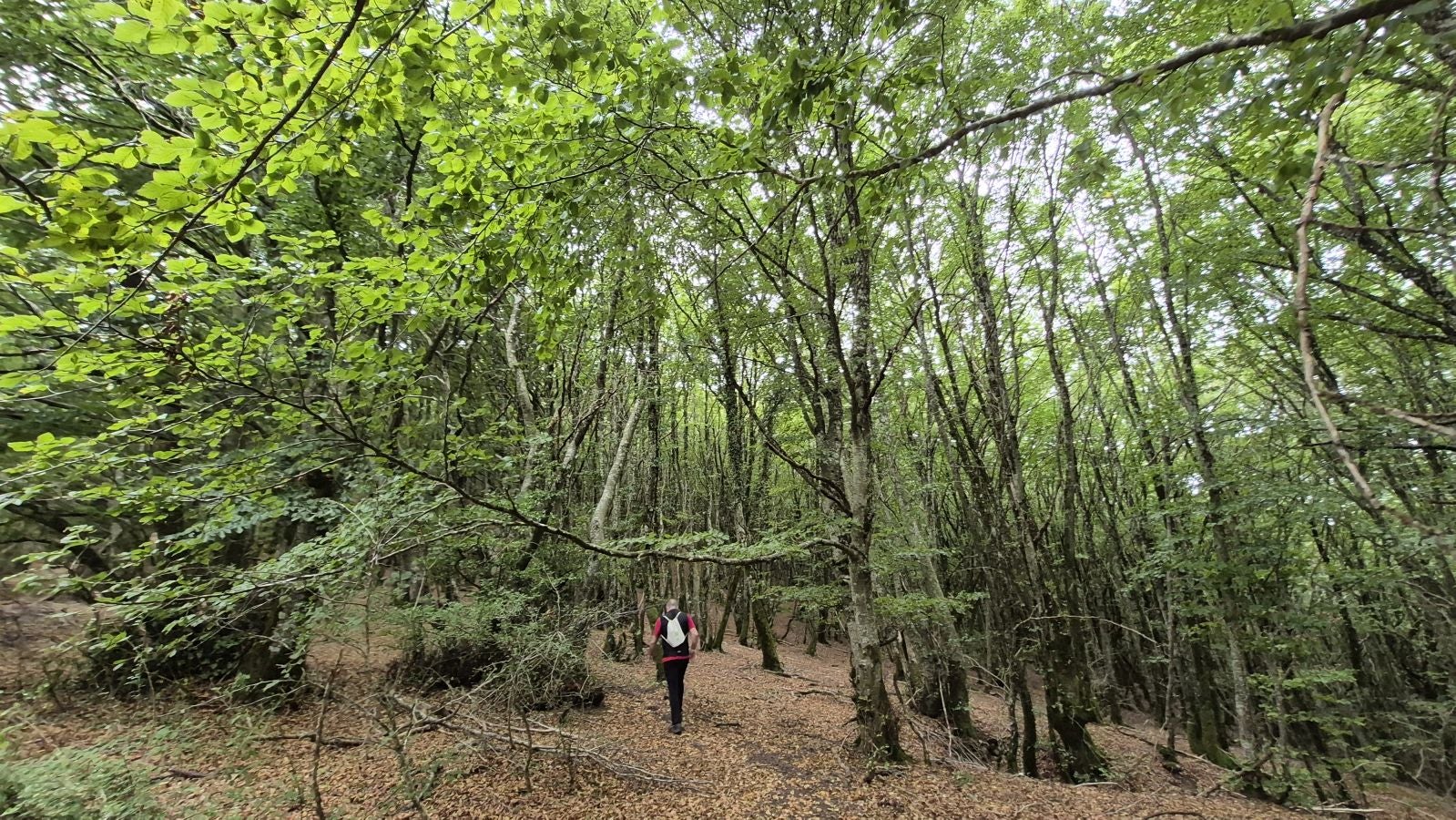 Una atalaya de casi 1.000 metros