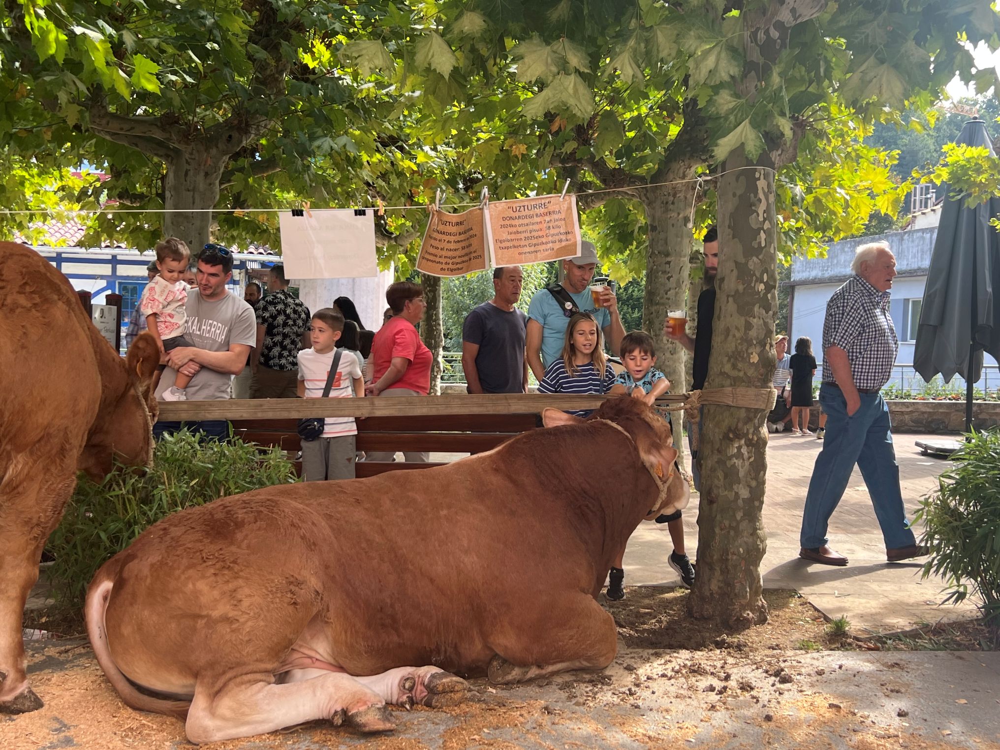 Santa Anastasia llena de vida Urretxu