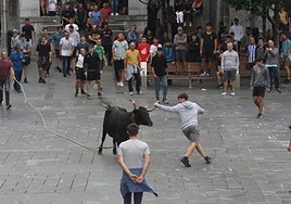 Una vaquilla de Saka durante la sokamuturra que se celebró el día de la Juventud de las pasadas fiestas.