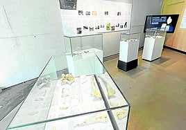 La exposición ha estado abierta desde el pasado mes de julio.