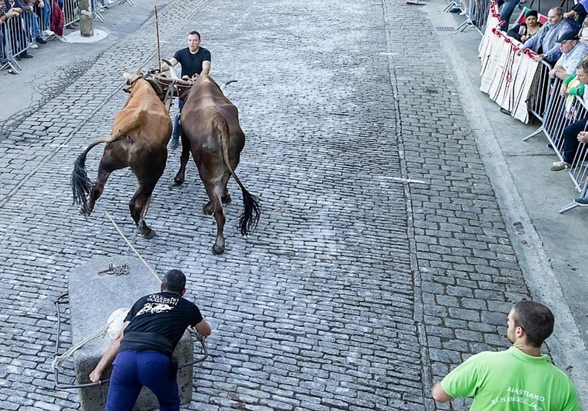 Aiastia celebra a partir de mañana unas fiestas de San Miguel con alicientes para todos los públicos