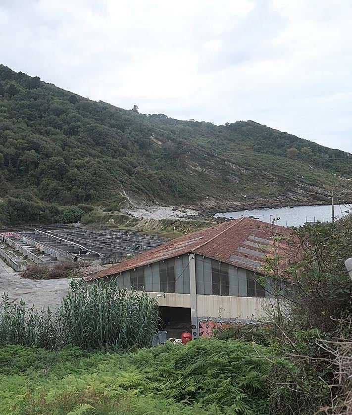 Imagen secundaria 2 - La instalación, ubicada a escasos metros del mar, cuenta con sistemas de filtrado y recirculación del agua.