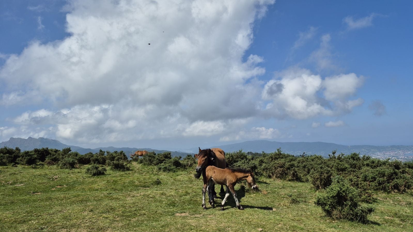 Manttale, atalaya de contrabandistas