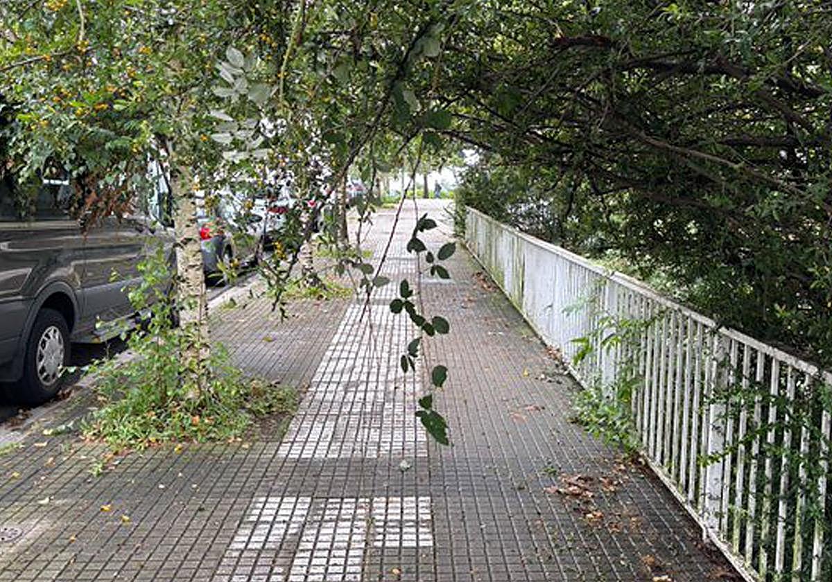 Maleza descontrolada con pinchos en Intxaurrondo