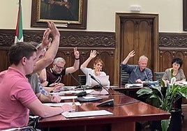 Maialen Fidalgo seguirá como concejal en Urretxu, pero sin liberar.