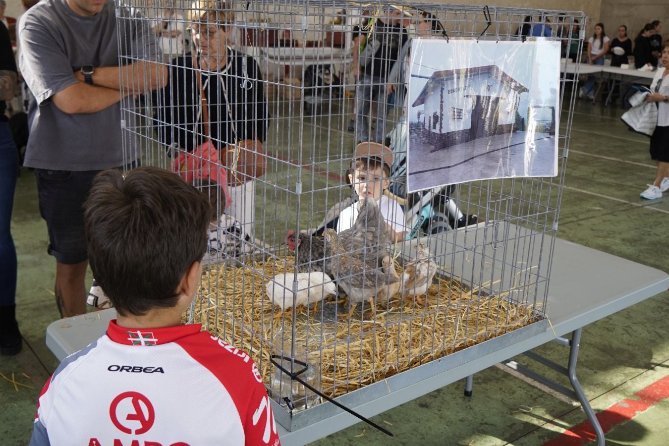 Landa-mundua Lazkaoko bihotzean: Basherri Eguna ospakizun betean