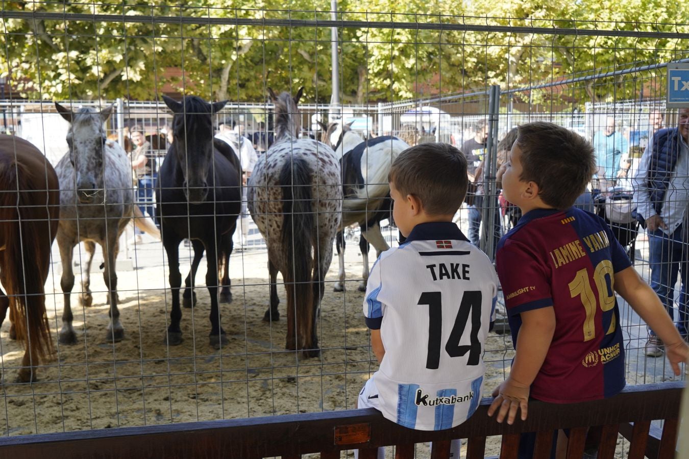Landa-mundua Lazkaoko bihotzean: Basherri Eguna ospakizun betean