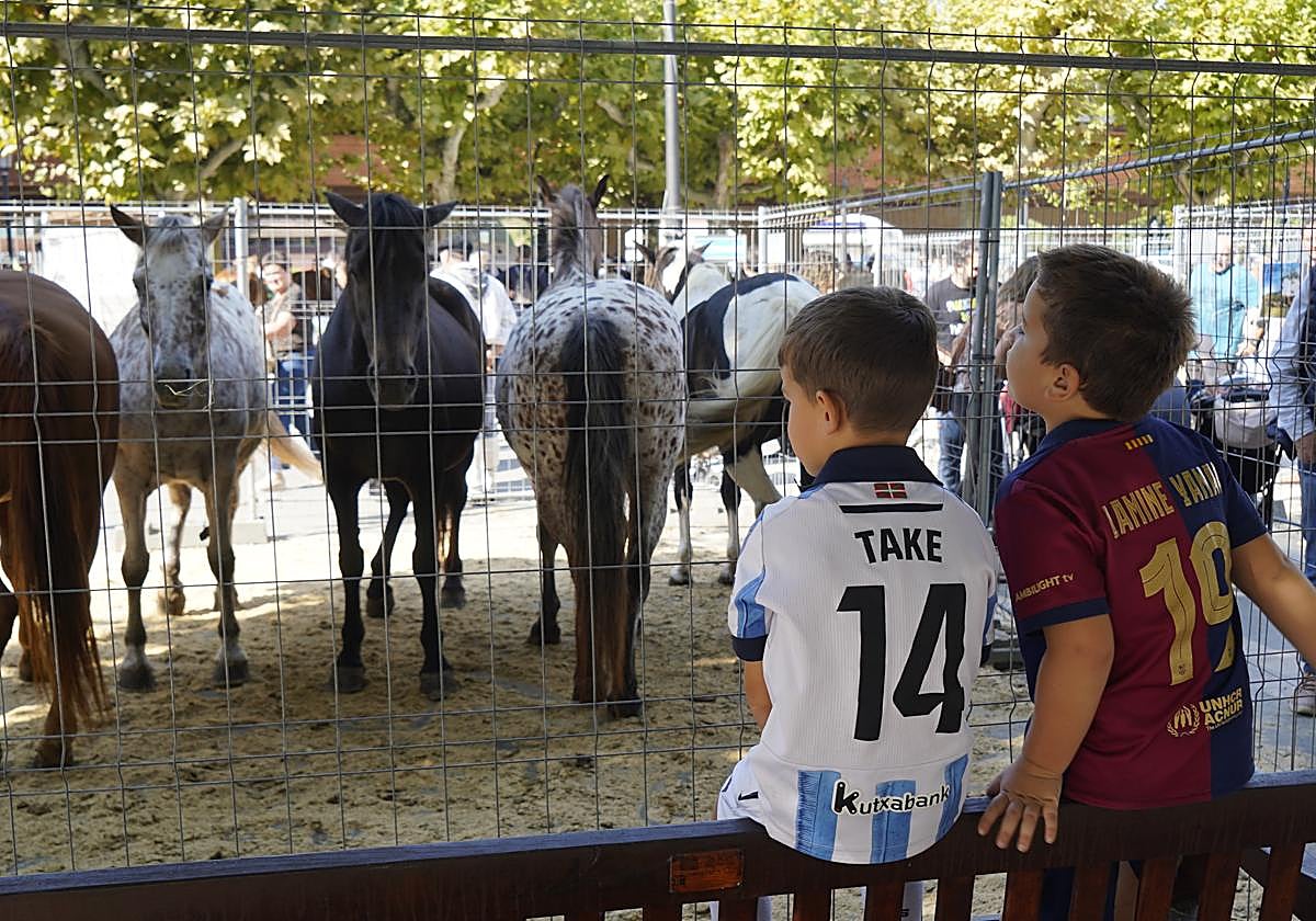 Gaztetxoek aberea gertutik behatzeko aukera izan zuten.