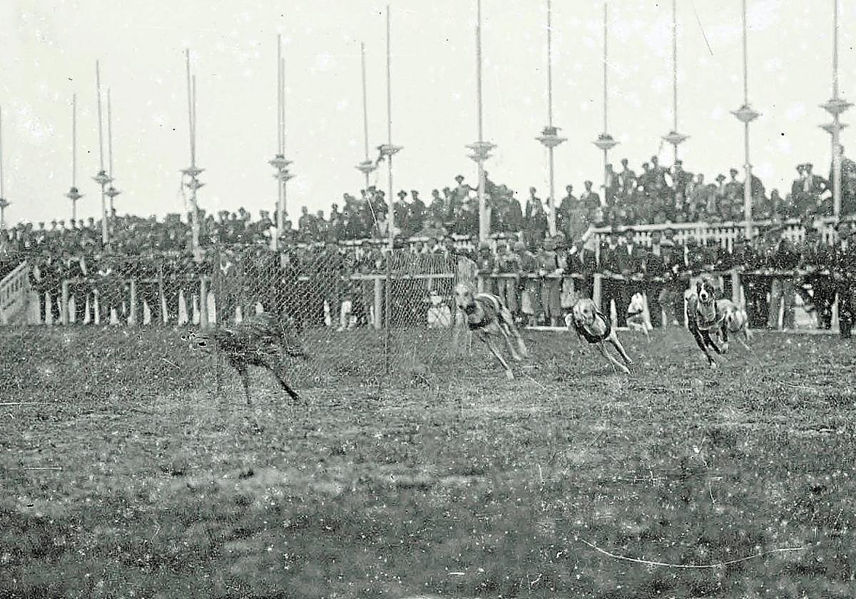 Una de las carreras de galgos celebradas hace un siglo.