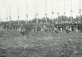 Una de las carreras de galgos celebradas hace un siglo.