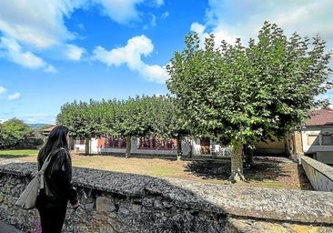 Un juzgado de Vitoria inicia la investigación por el udaleku alavés tras no actuar en cinco meses