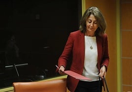 La fiscal del País Vasco admite que el caso del campamento de Bernedo ha estado «meses parado» en el Juzgado de Vitoria