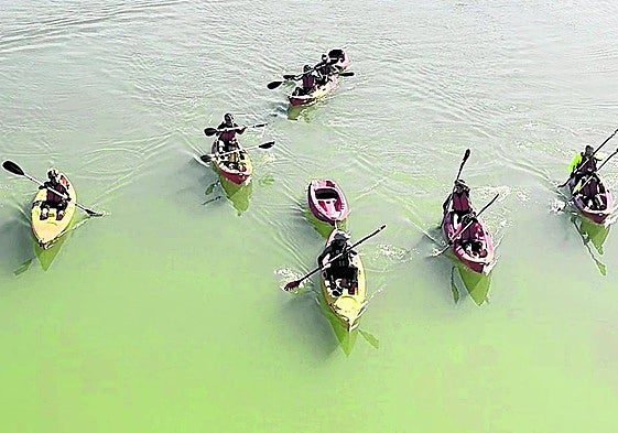 La limpieza de la ría de Orio en kayak y la ballena realizada con los residuos,dos de las actividades de la jornada