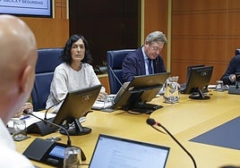Bingen Zupiria en la comisión de este miércoles.