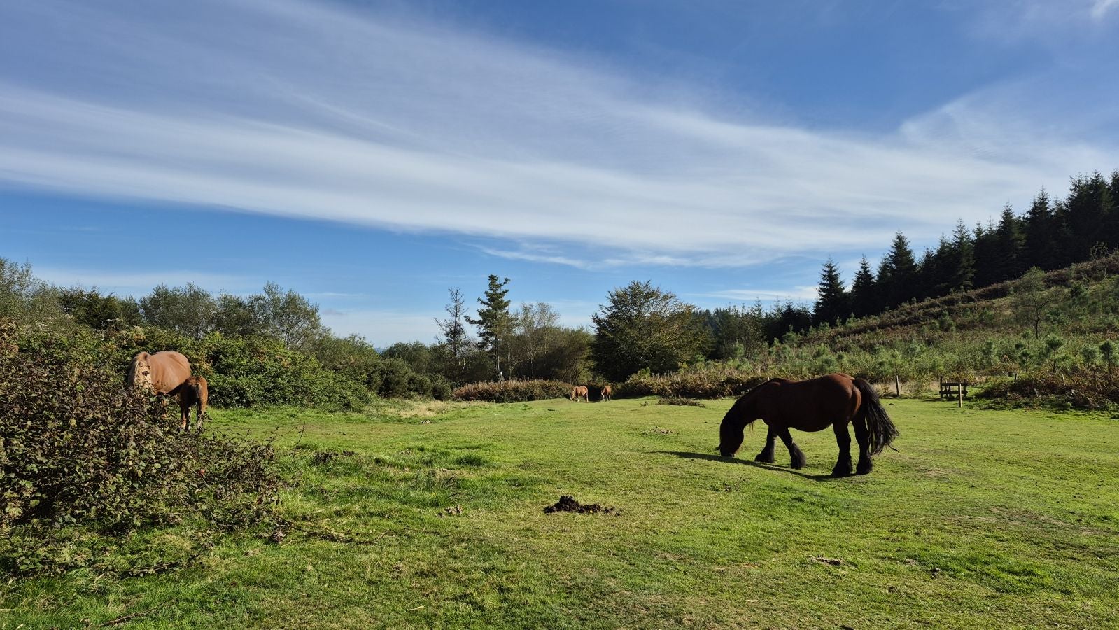 Hermosas vistas desde el Santuario de Arrate