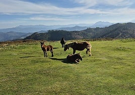 Hermosas vistas desde el Santuario de Arrate