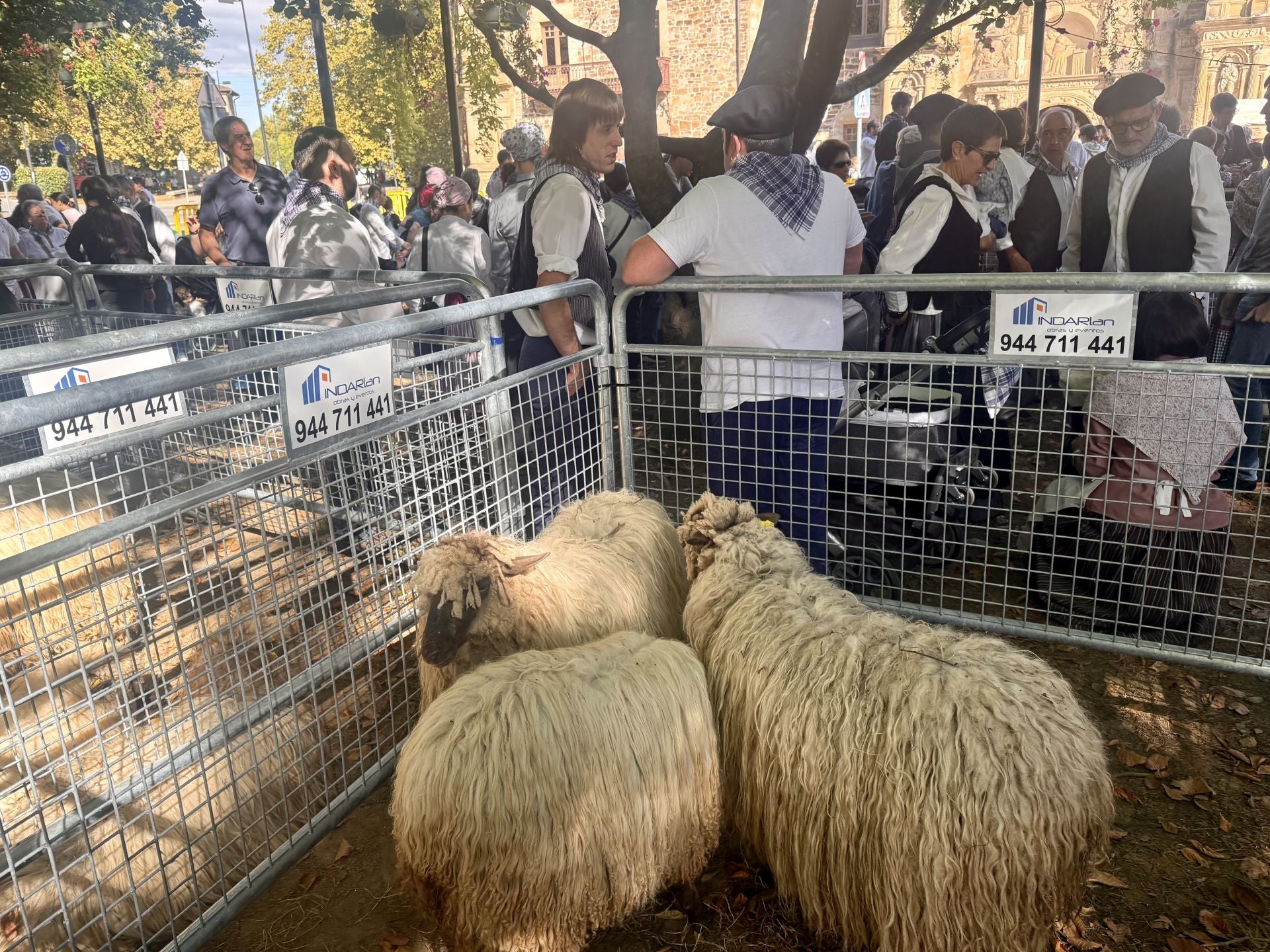 Las kuadrillas llenan un Oñati muy &#039;tropical&#039;