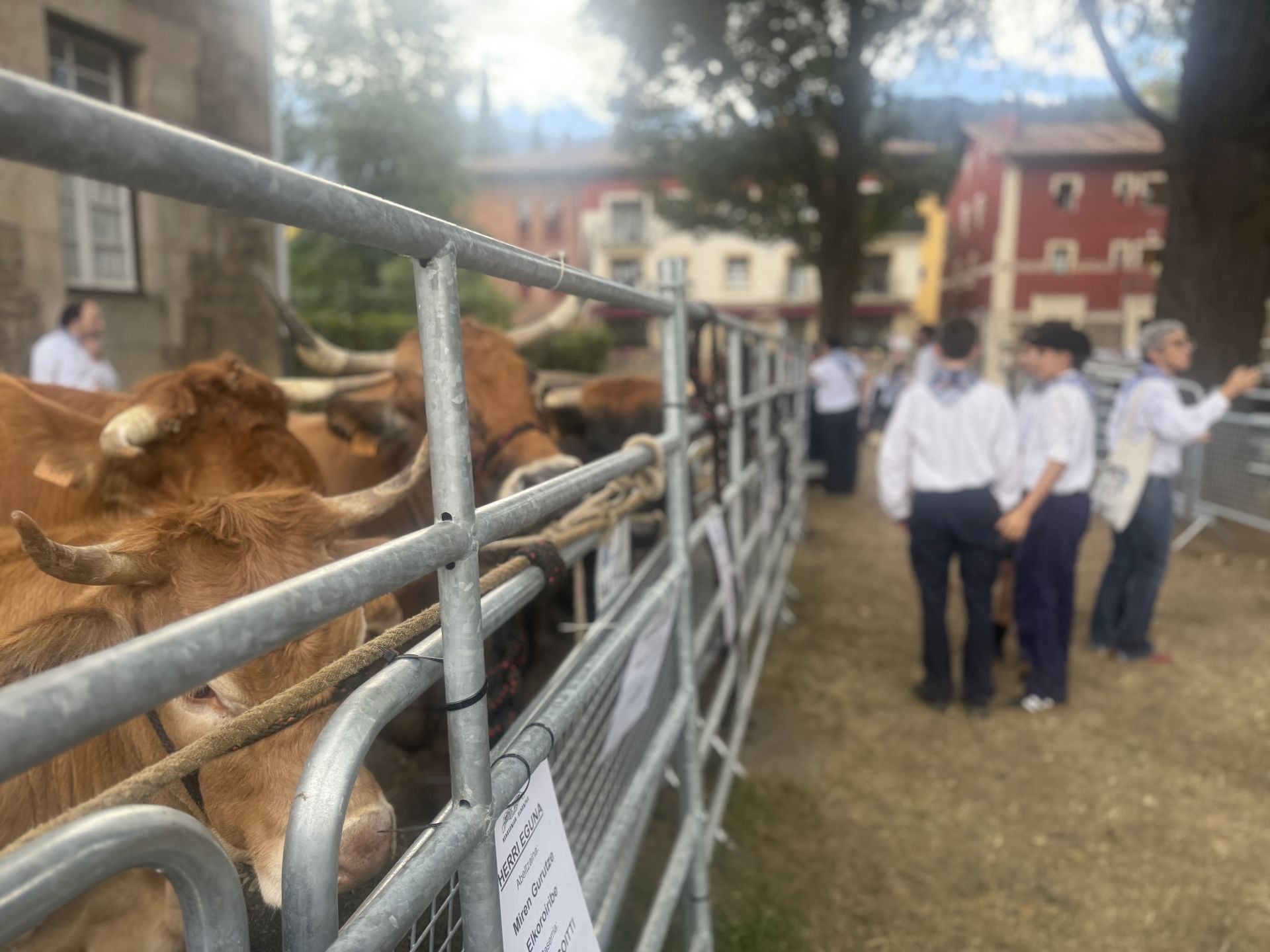 Las kuadrillas llenan un Oñati muy &#039;tropical&#039;