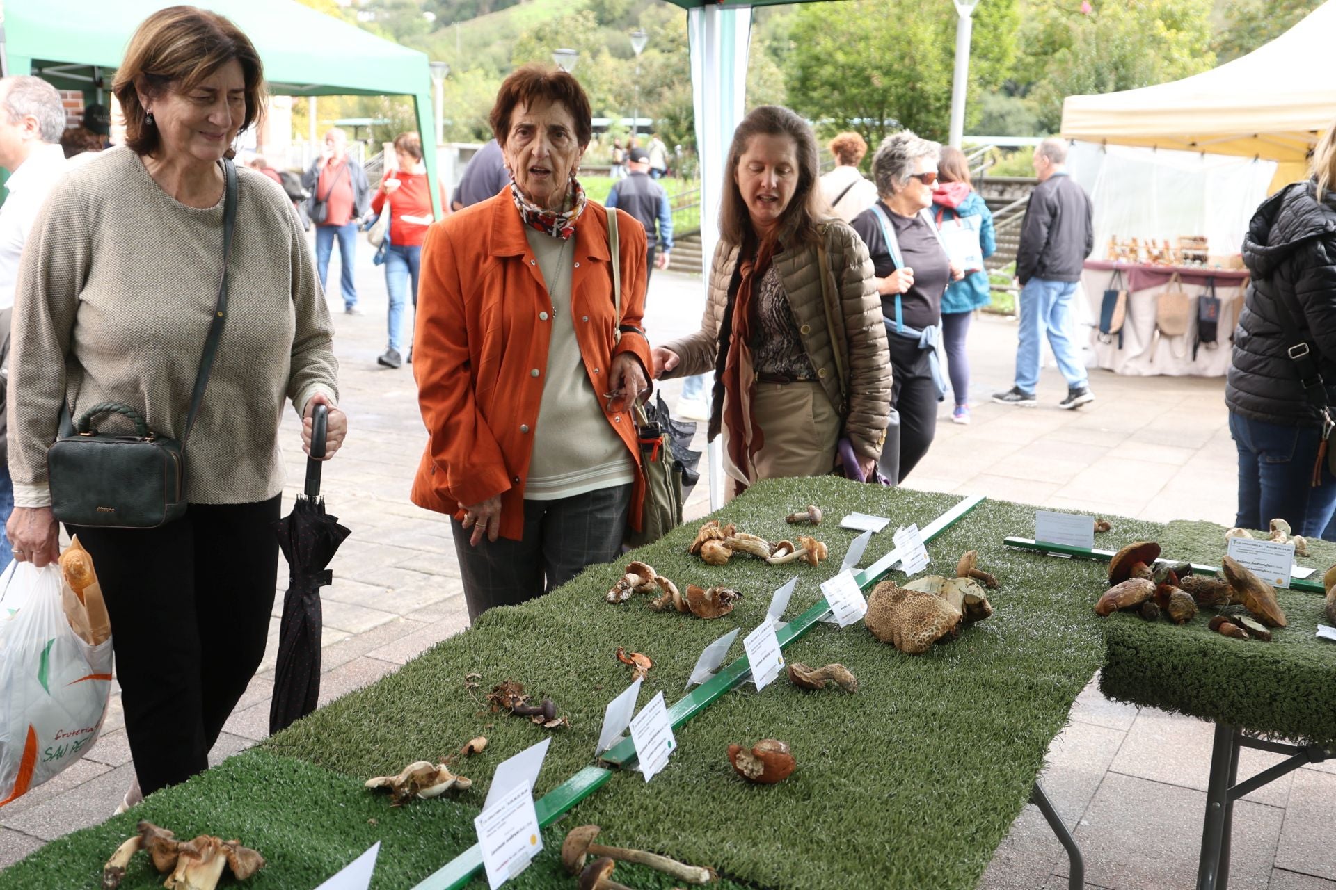 La micología reina en el barrio de Loiola